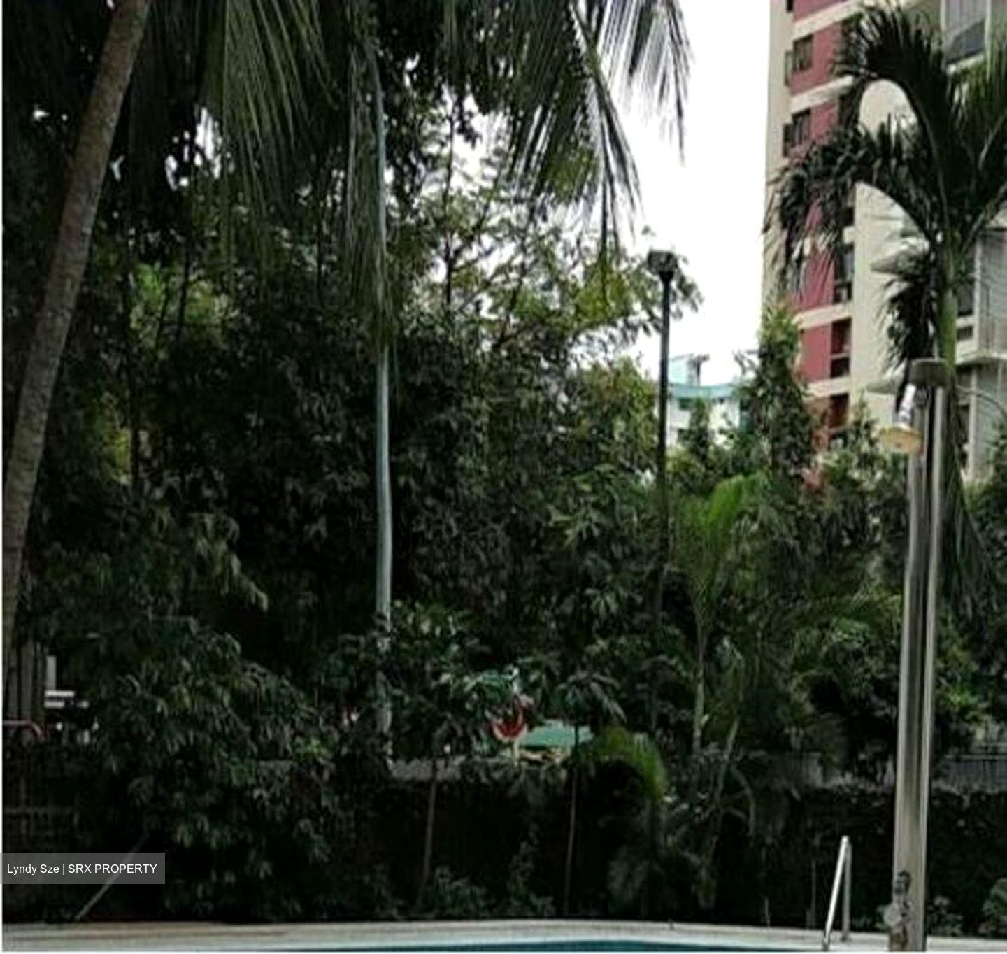 Rajah Tower (D12), Apartment #520667111